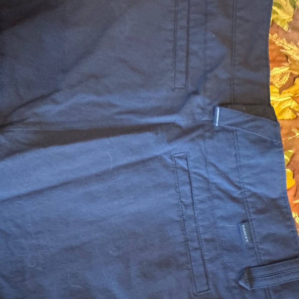 Oakley Gray Hiking pants